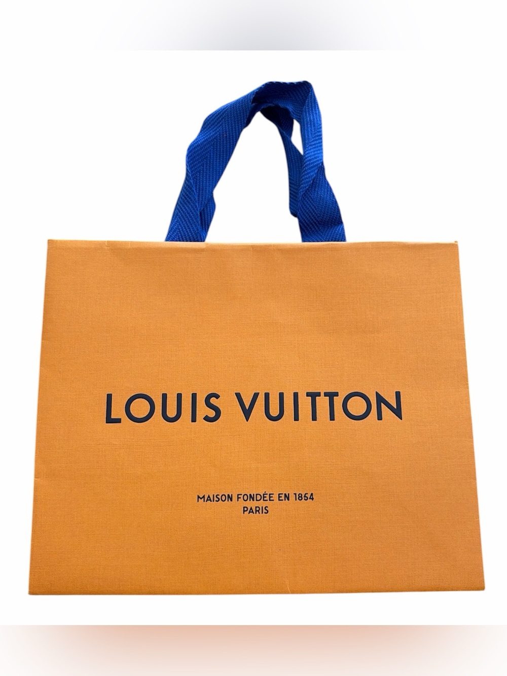 Louis Vuitton shopping bag